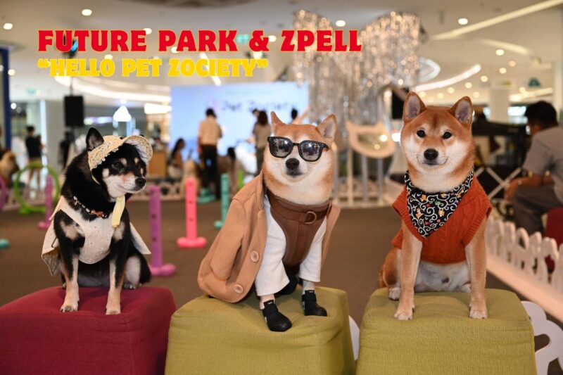 Future Park & Zpell ชวนสัมผัสประสบการณ์ Light & Shade ในโซน “Pet Zociety” ที่ออกแบบภายใต้แนวคิด Grove Design สร้างร่มเงาธรรมชาติสำหรับกิจกรรม Outdoor